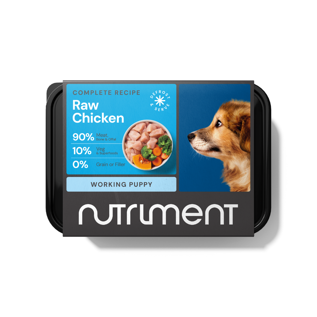 Nutriment Puppy1