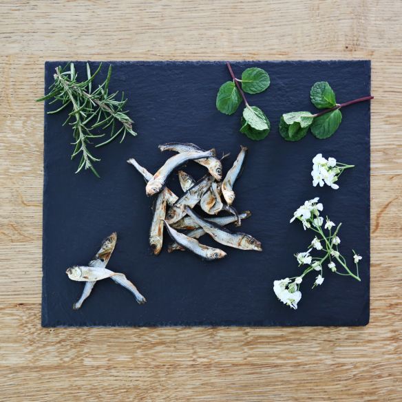 Nutriment Little Fish 100g