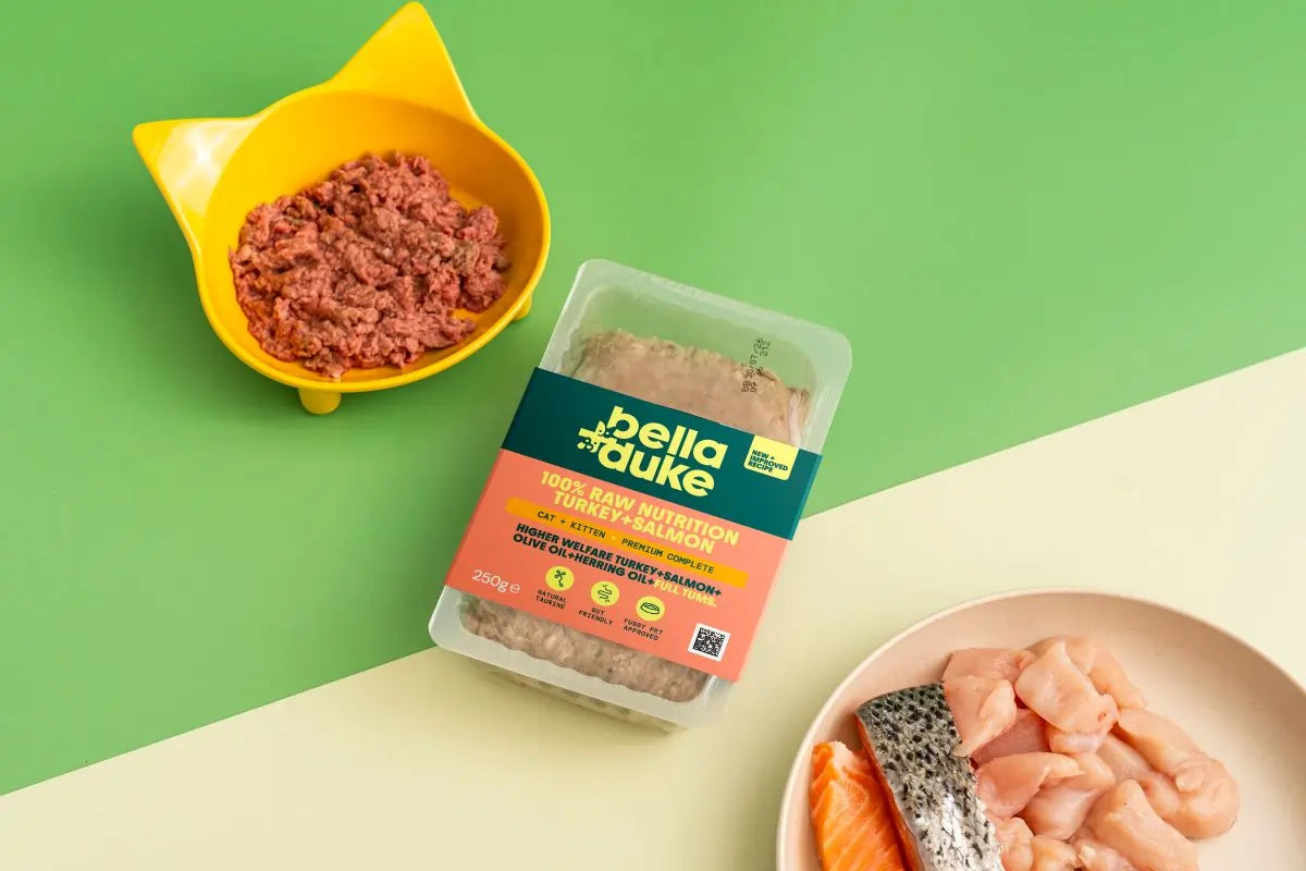 Bella & Duke Cat & Kitten Turkey & Salmon 250g