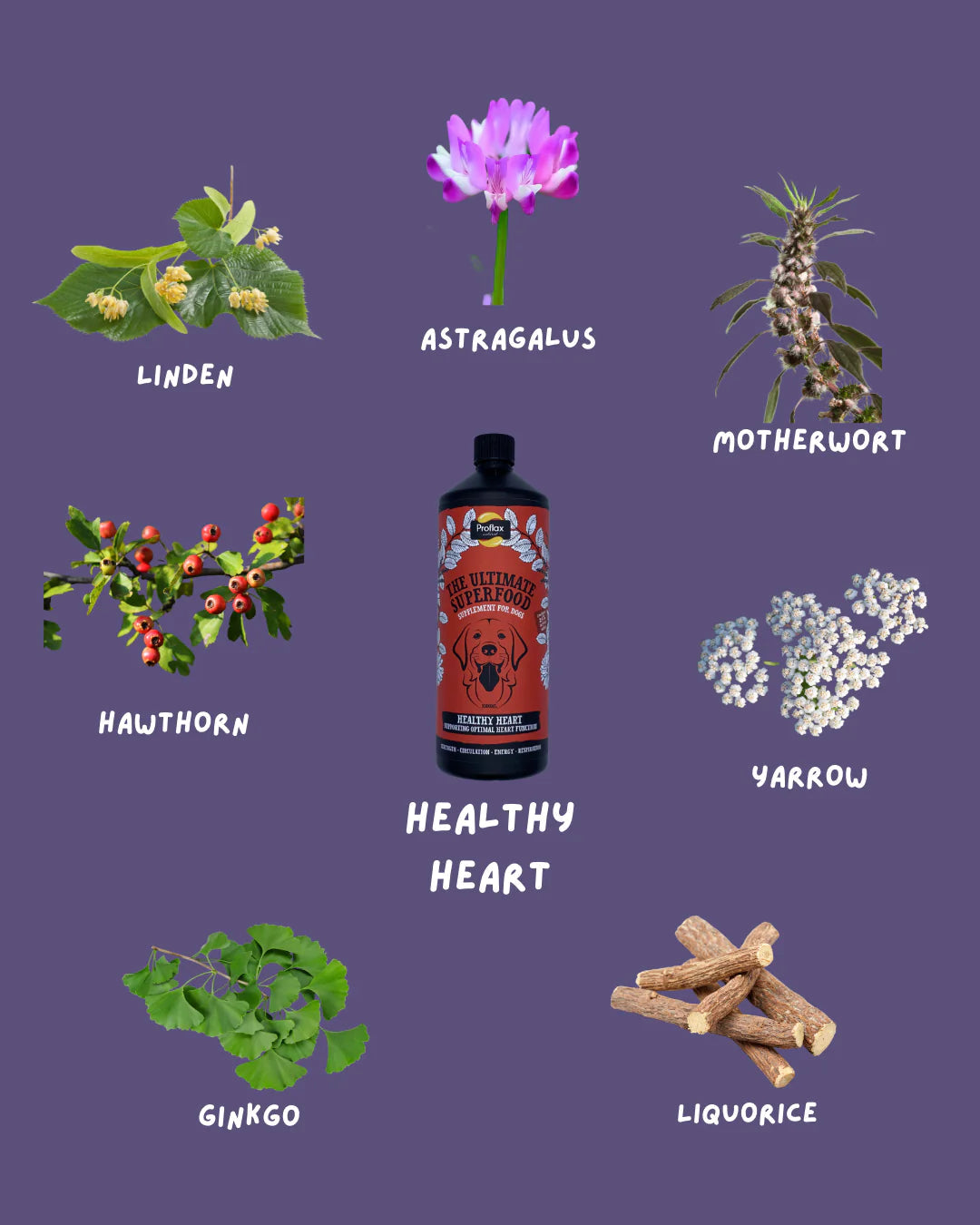 Proflax Healthy Heart