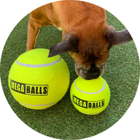 Hem & Boo Mega Balls XL 6" (Random Colours)