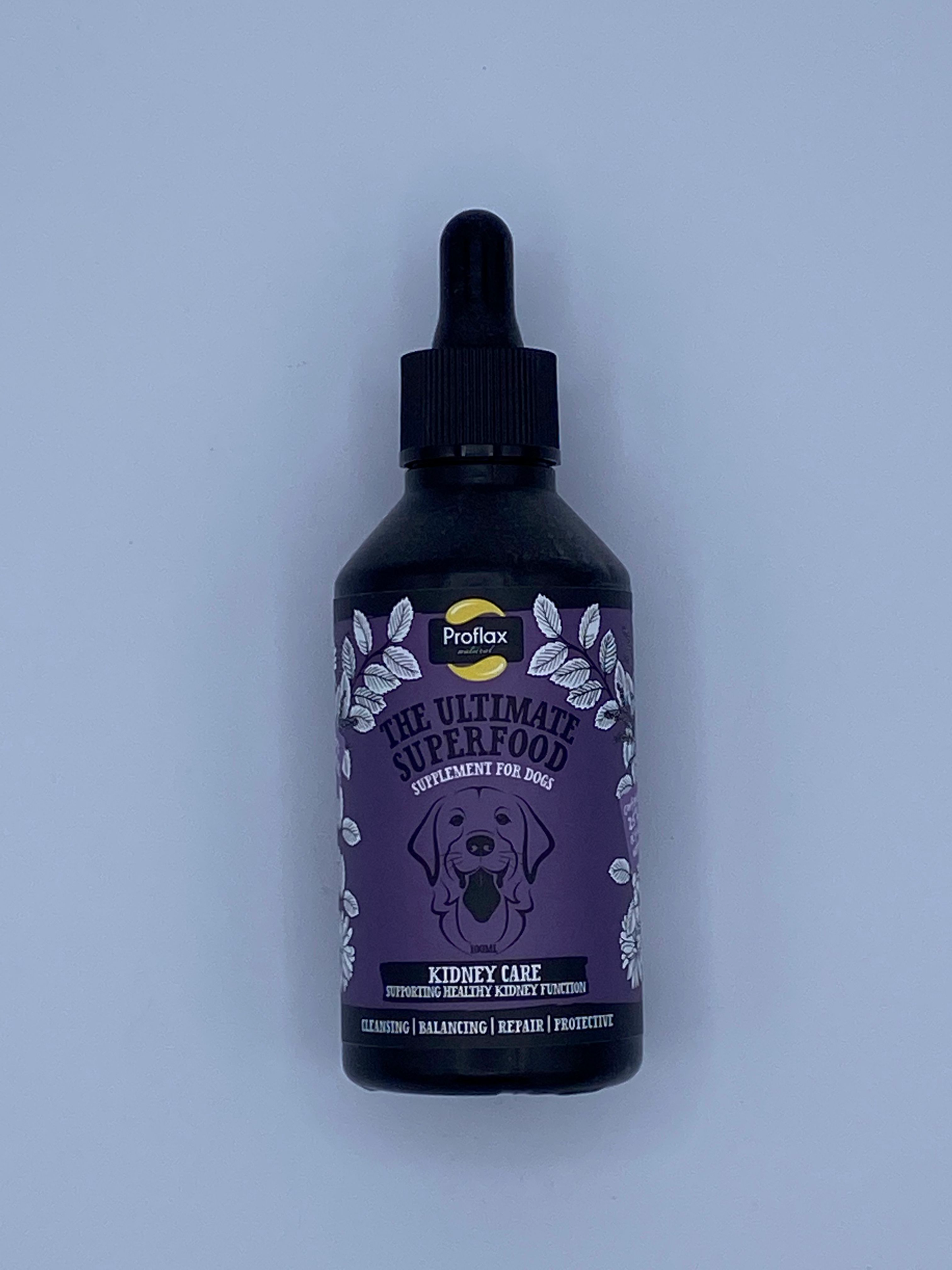 Proflax Kidney Care