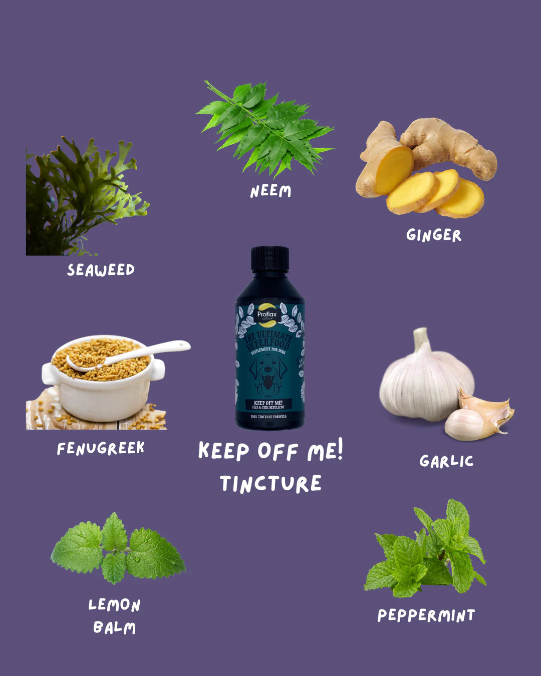 Proflax Keep Off Me Tincture
