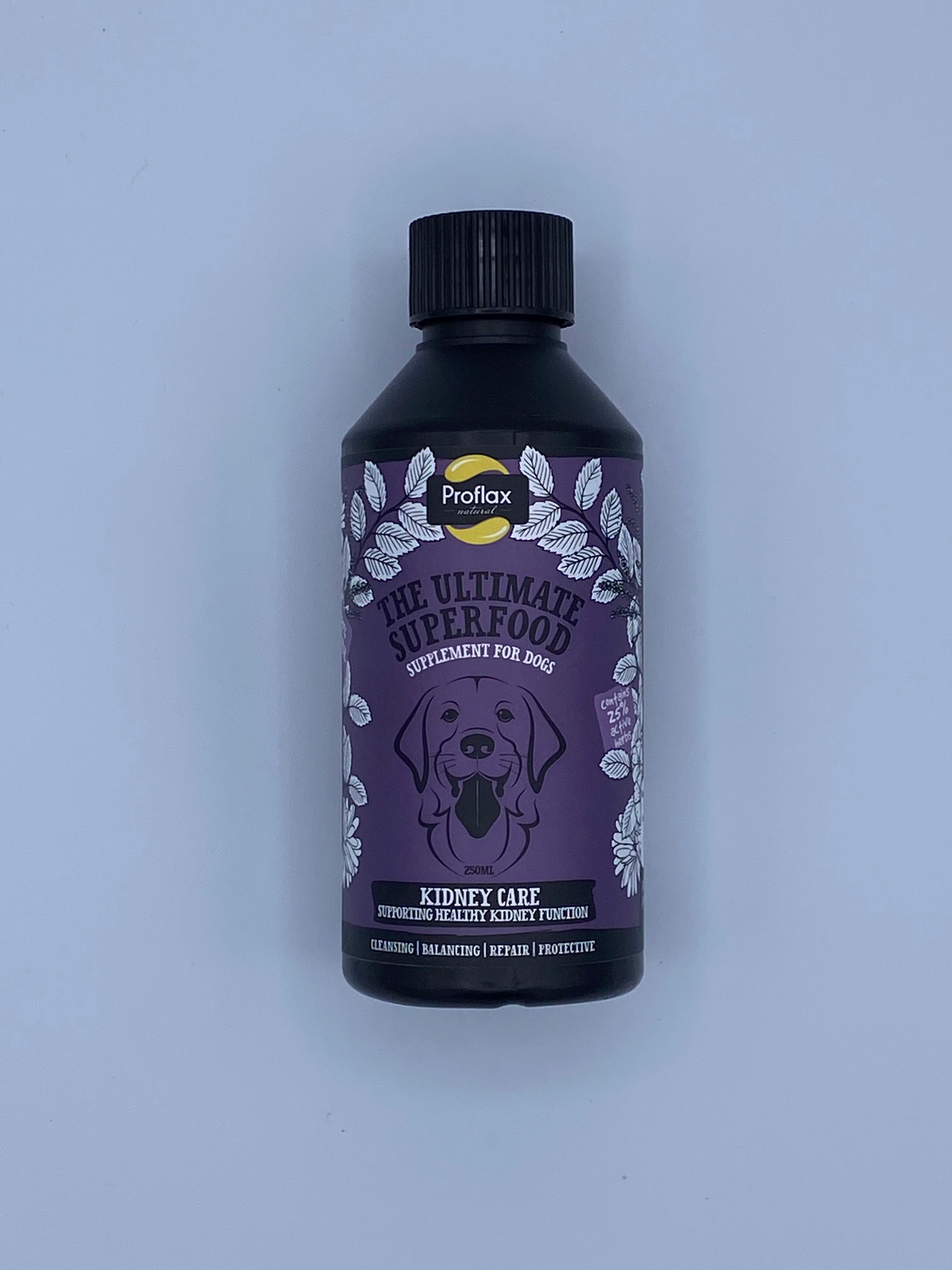 Proflax Kidney Care