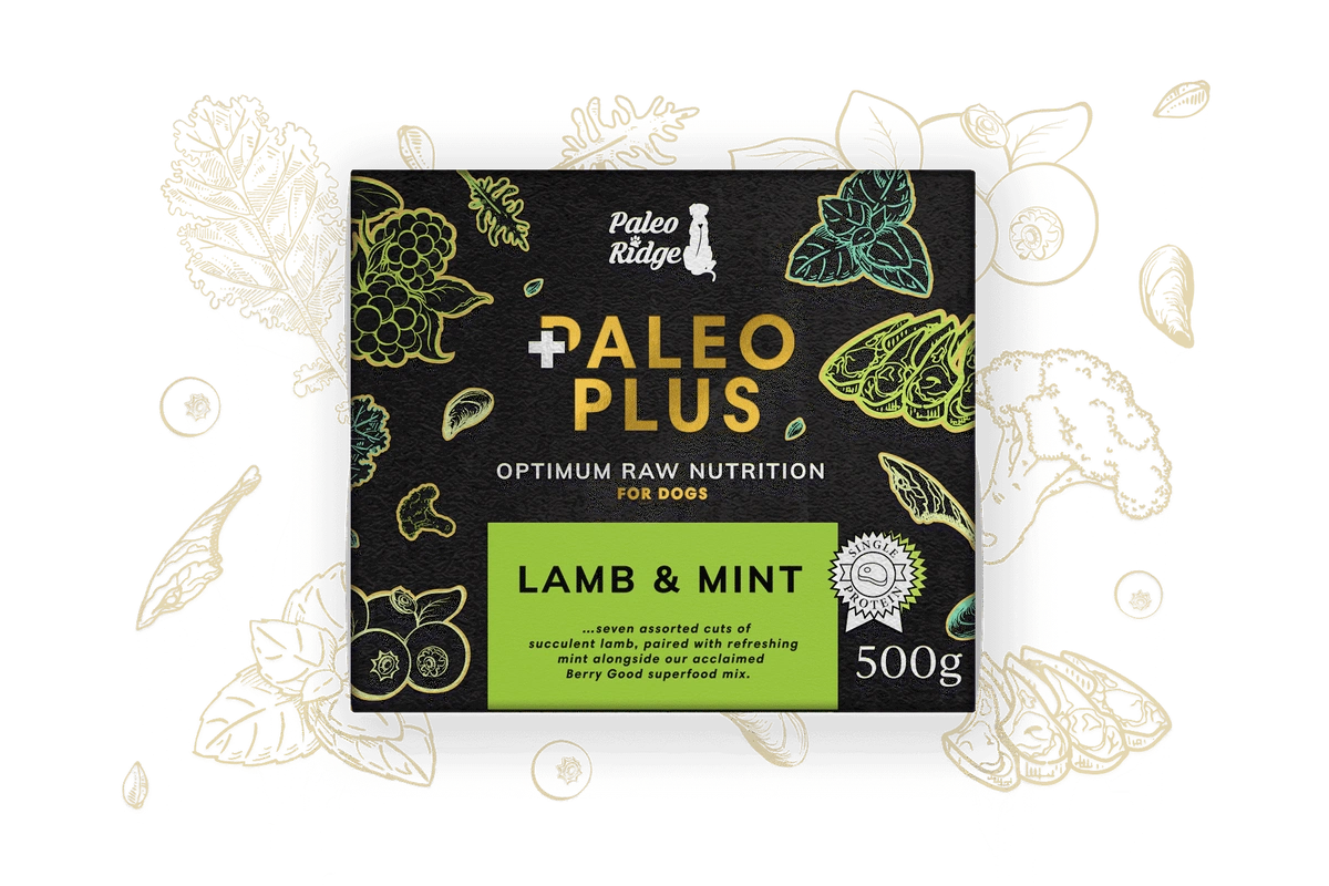 Paleo Ridge Paleo Plus Lamb & Mint 500g