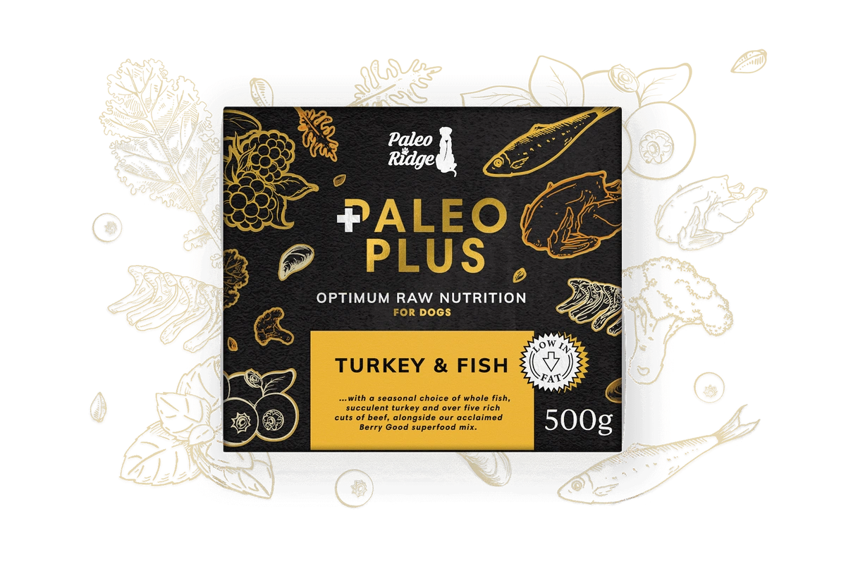 Paleo Ridge Paleo Plus Turkey & Fish 500g