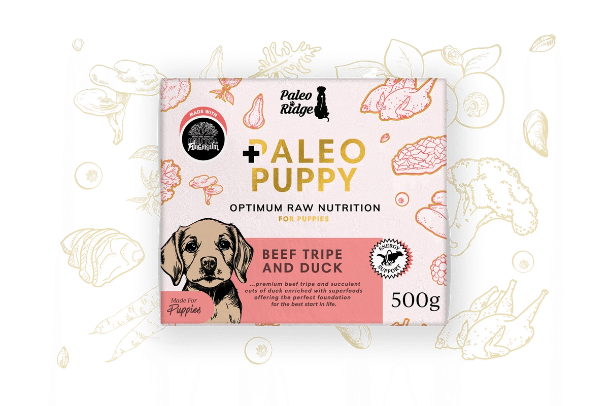 Paleo Ridge Puppy Beef Tripe & Duck 500g