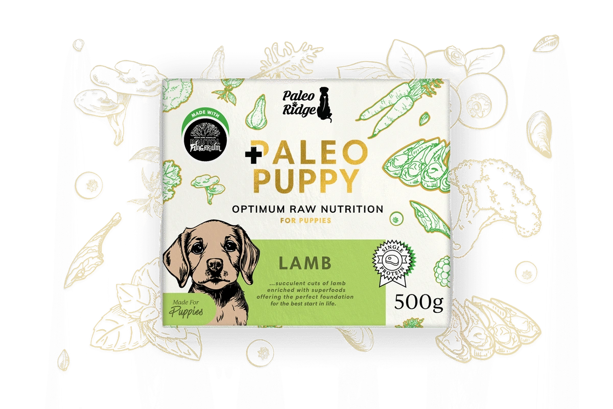 Paleo Ridge Puppy Lamb 500g