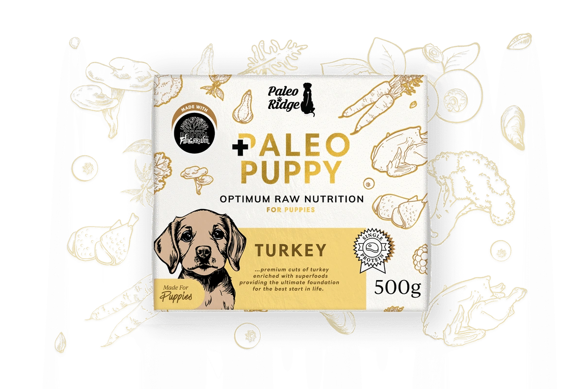 Paleo Ridge Puppy Turkey 500g