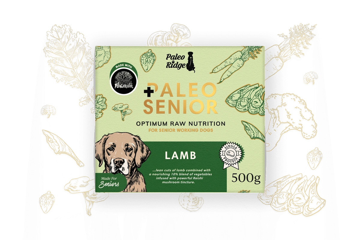Paleo Ridge Senior Lamb 500g