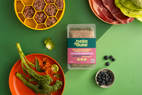 Bella & Duke Puppy Complete Beef 500g