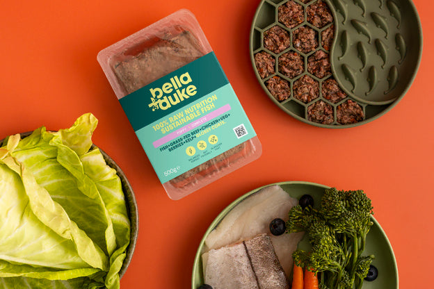 Bella & Duke Puppy Complete Fish 500g