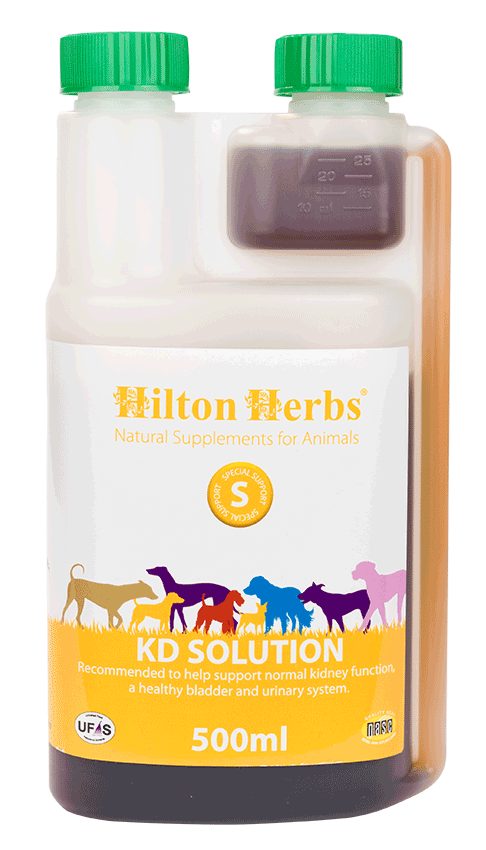 Hilton Herbs KD Solution