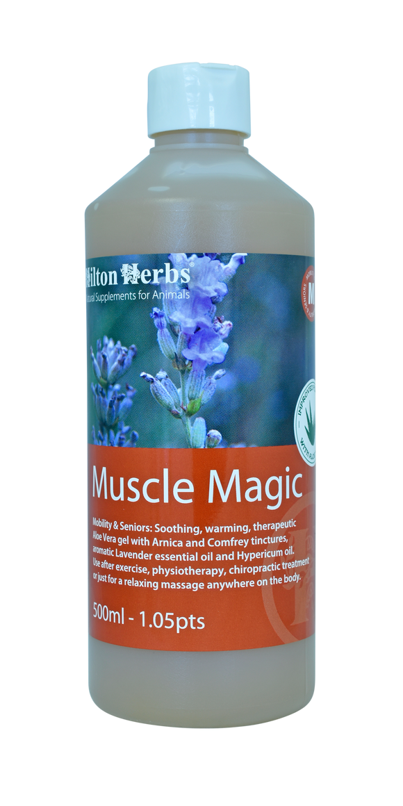 Hilton Herbs Muscle Magic