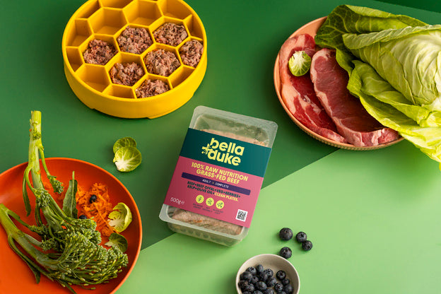 Bella & Duke Adult Complete Beef 500g