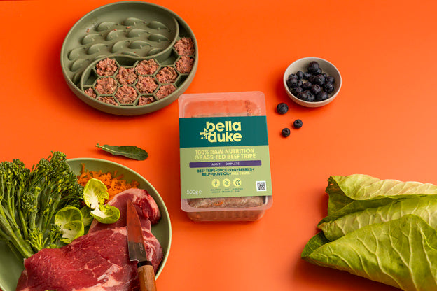 Bella & Duke Adult Complete Beef Tripe 500g