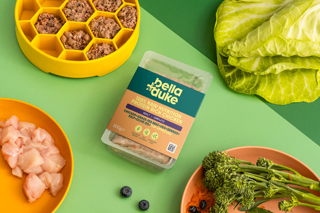 Bella & Duke Adult Complete Chicken 500g