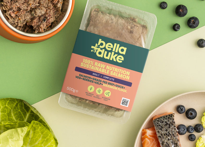 Bella & Duke Adult Complete Salmon 500g