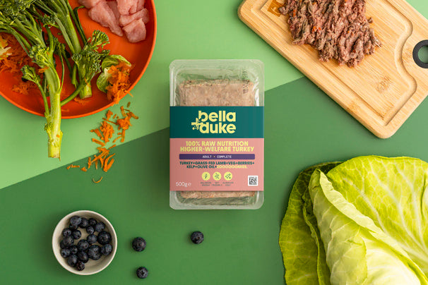 Bella & Duke Adult Complete Turkey 500g