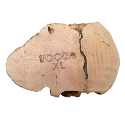 Anco Roots