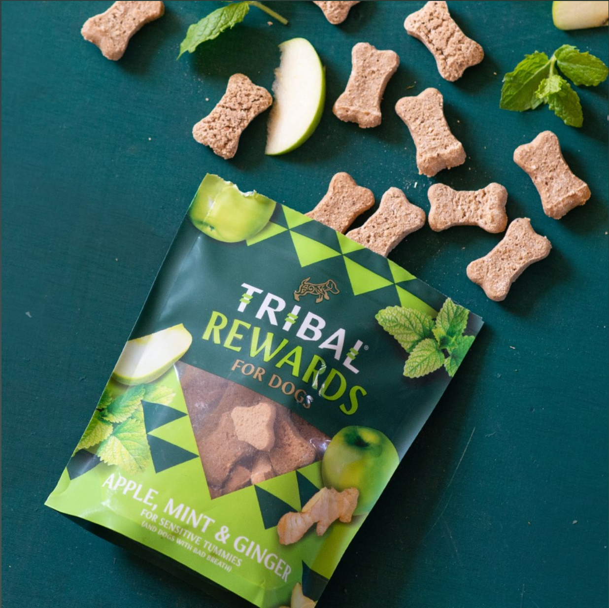 Tribal Rewards Apple Mint & Ginger 125g