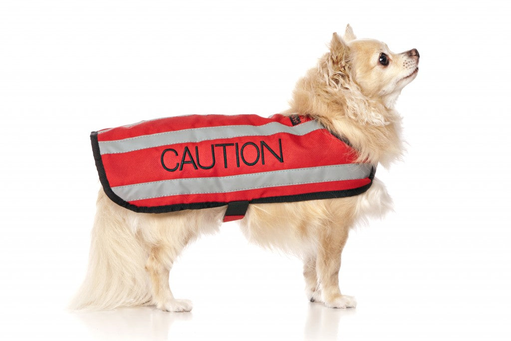 Dexil Friendly Dog Collars Coat - Caution