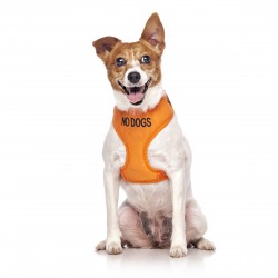 Dexil Friendly Dog Collars Vest Harness - No Dogs