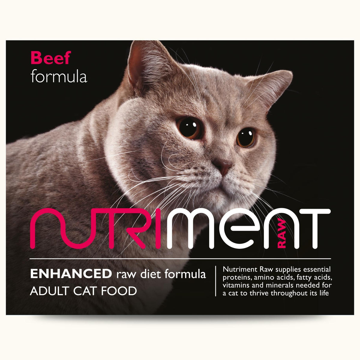 Essential cat supplies sale