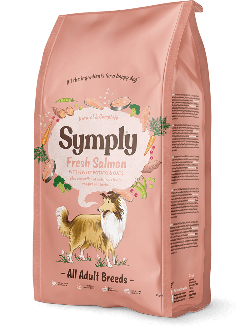 Symply Adult Salmon