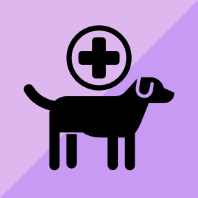 Dog Healthcare