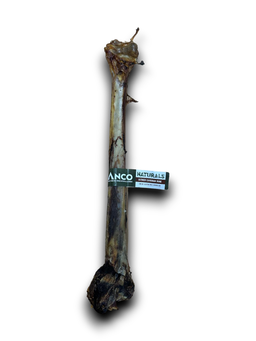 Anco Ostrich Caveman Bone