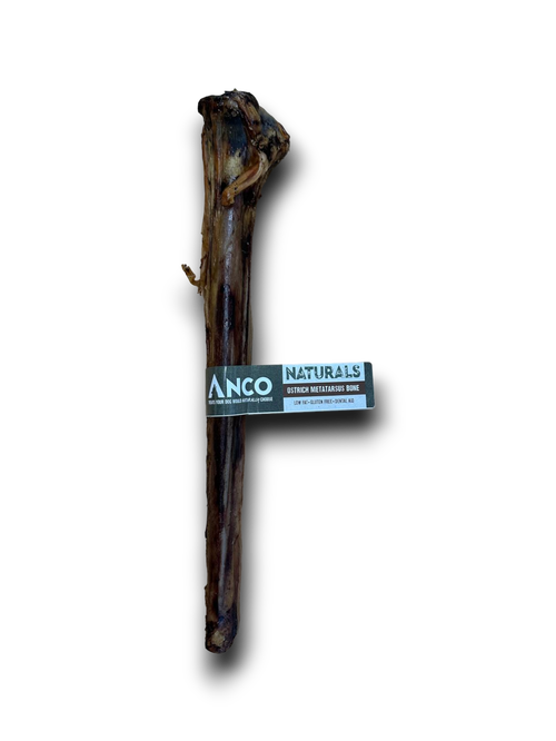 Anco Ostrich Metatarsus Bone