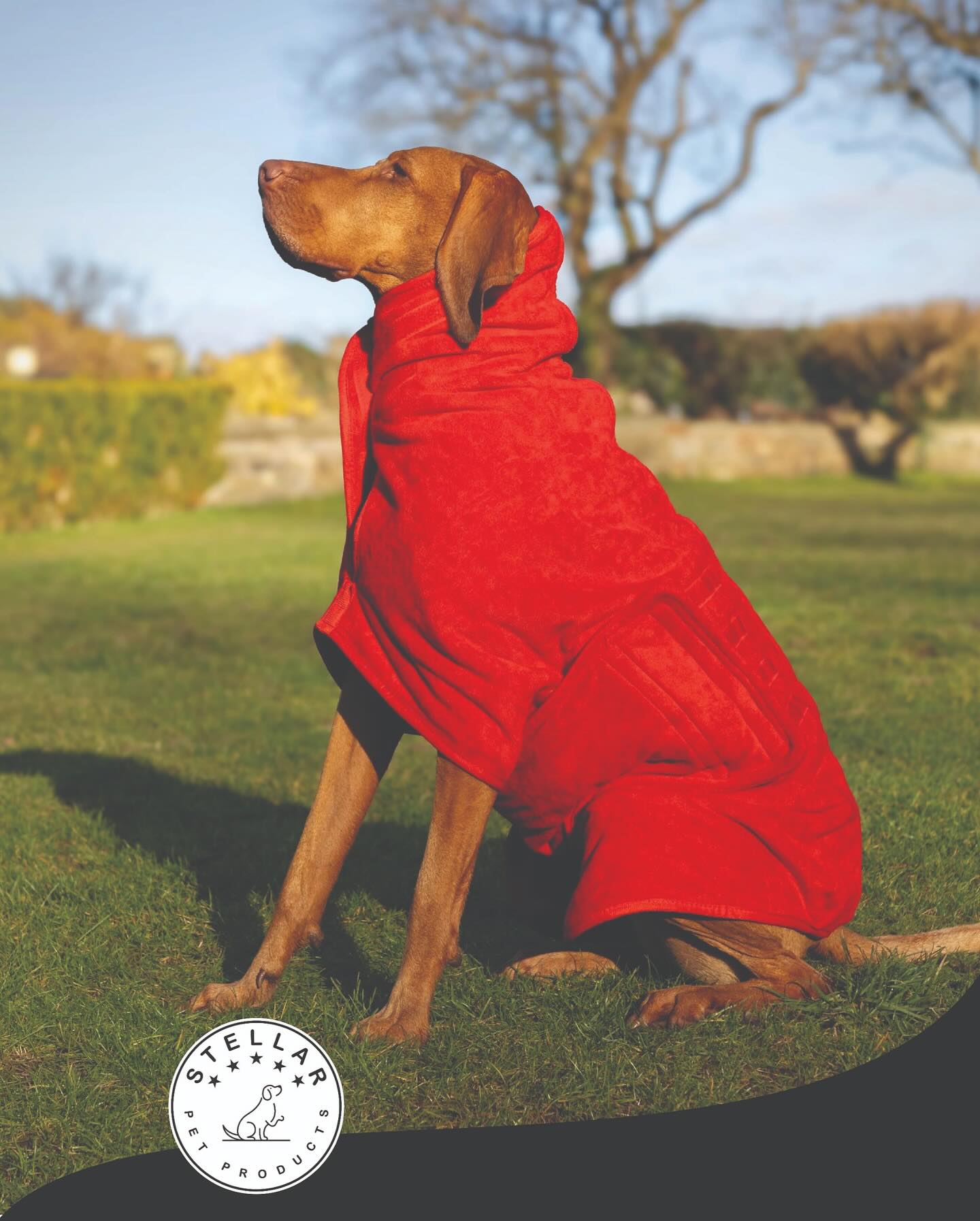 Stellar Pet Products Quick Drying Robe Chilli