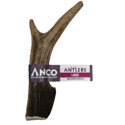 Anco Antlers