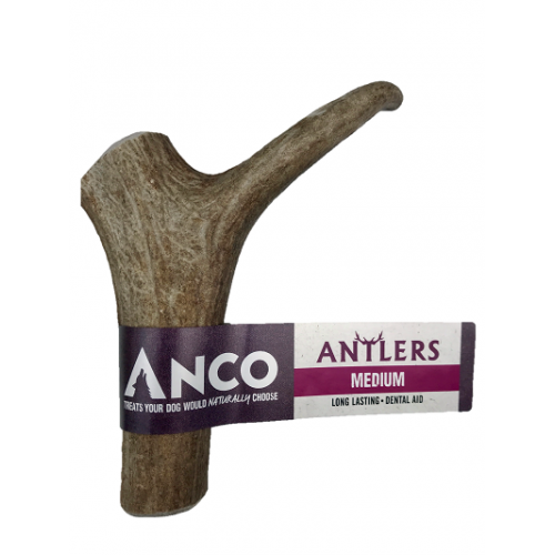 Anco Antlers