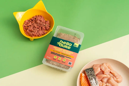 Bella & Duke Cat & Kitten Turkey & Salmon 250g