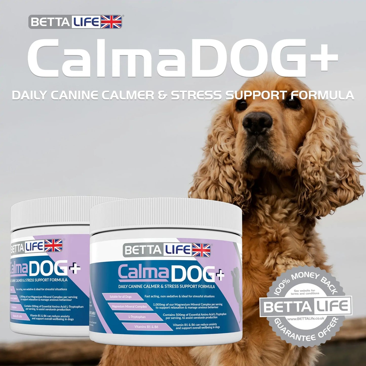 BettaLife Calma Dog+