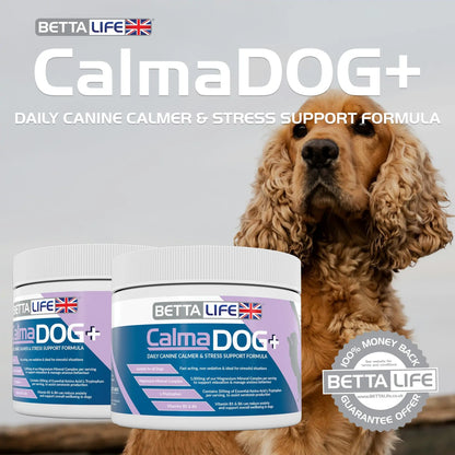 BettaLife Calma Dog+