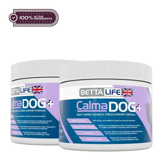BettaLife Calma Dog+