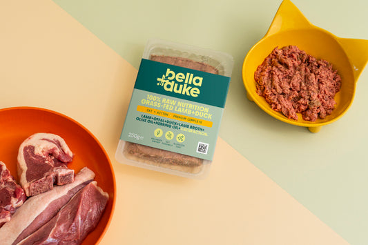 Bella & Duke Cat & Kitten Lamb & Duck 250g