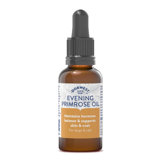 Dorwest - Evening Primrose Oil Liquid