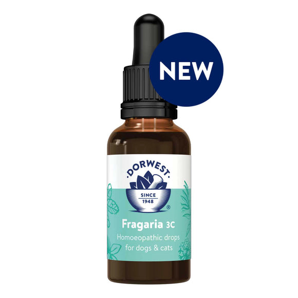 Dorwest Homeopathic Drops - Fragaria 3C