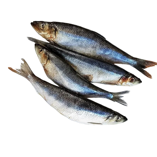 Dougies Whole Herring 1kg