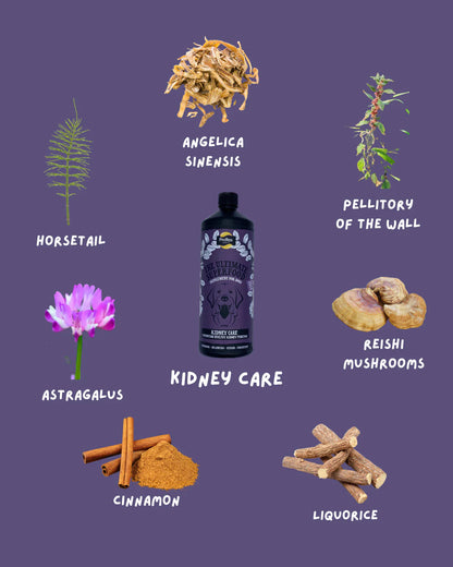 Proflax Kidney Care