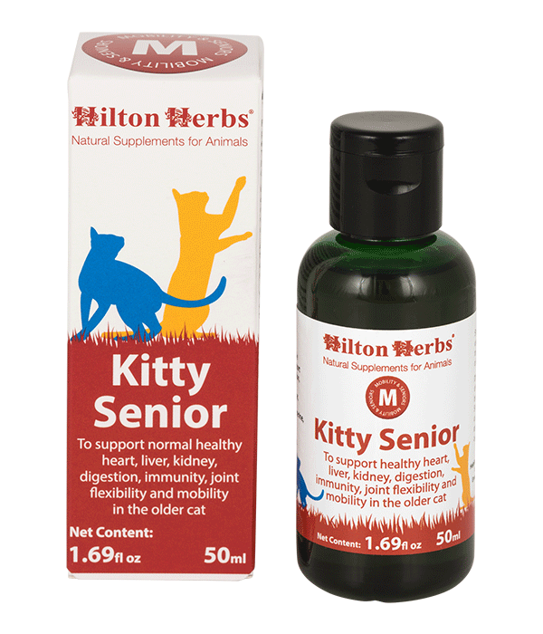 Hilton Herbs Kitty Senior 50ml