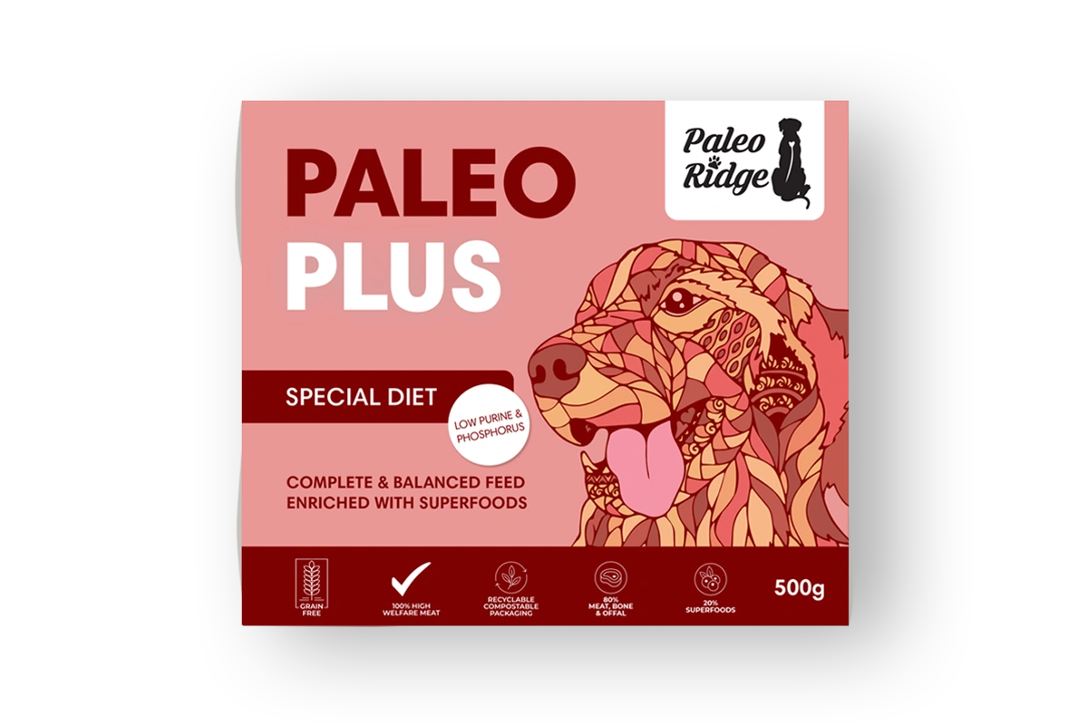 Paleo Ridge Paleo Plus Special Diet 500g