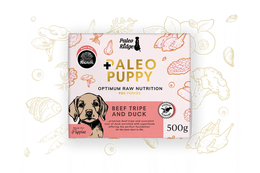 Paleo Ridge Puppy Beef Tripe & Duck 500g