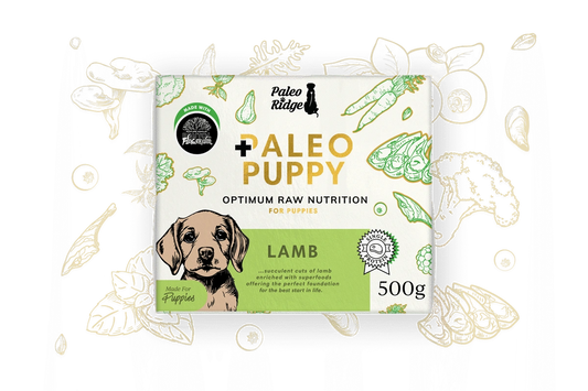 Paleo Ridge Puppy Lamb 500g