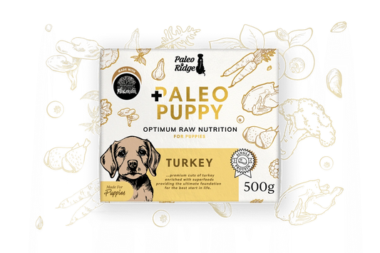 Paleo Ridge Puppy Turkey 500g