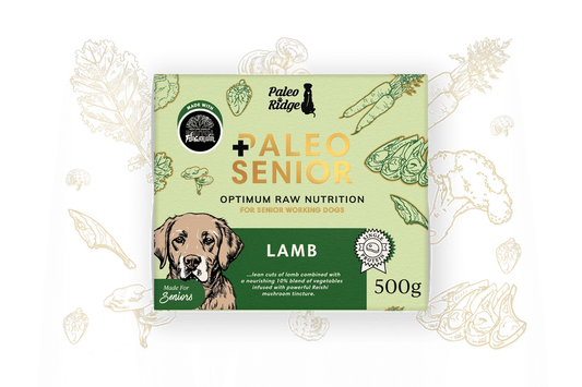 Paleo Ridge Senior Lamb 500g